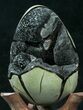 Septarian Dragon Egg Geode - Black Calcite Crystals #33974-1